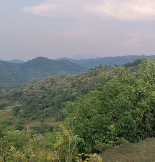 plots for sale